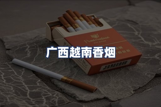 广西越南香烟